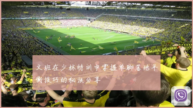 文班在少林特训中掌握单脚落地平衡技巧的秘诀分享